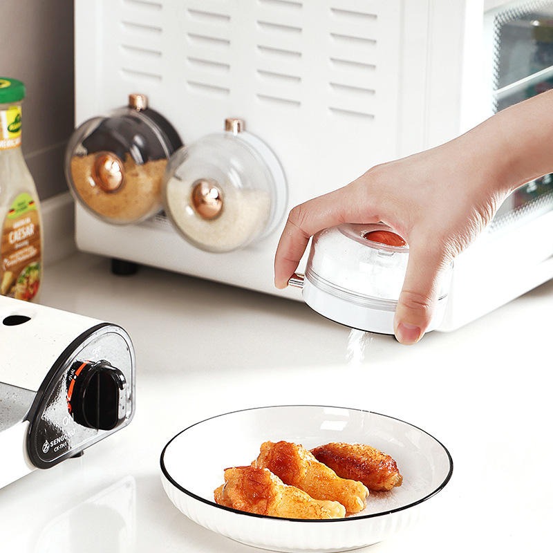 MAGNETIC WALL HANGING SPICE ORGANIZER